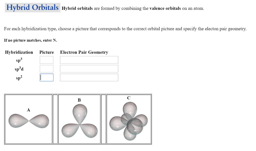 Solved Hybrid Orbitals Hybrid orbitals are formed by | Chegg.com