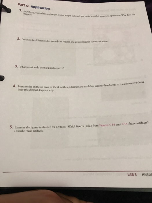 Solved Part C: Application 1. In puberty, vaginal tissue v | Chegg.com