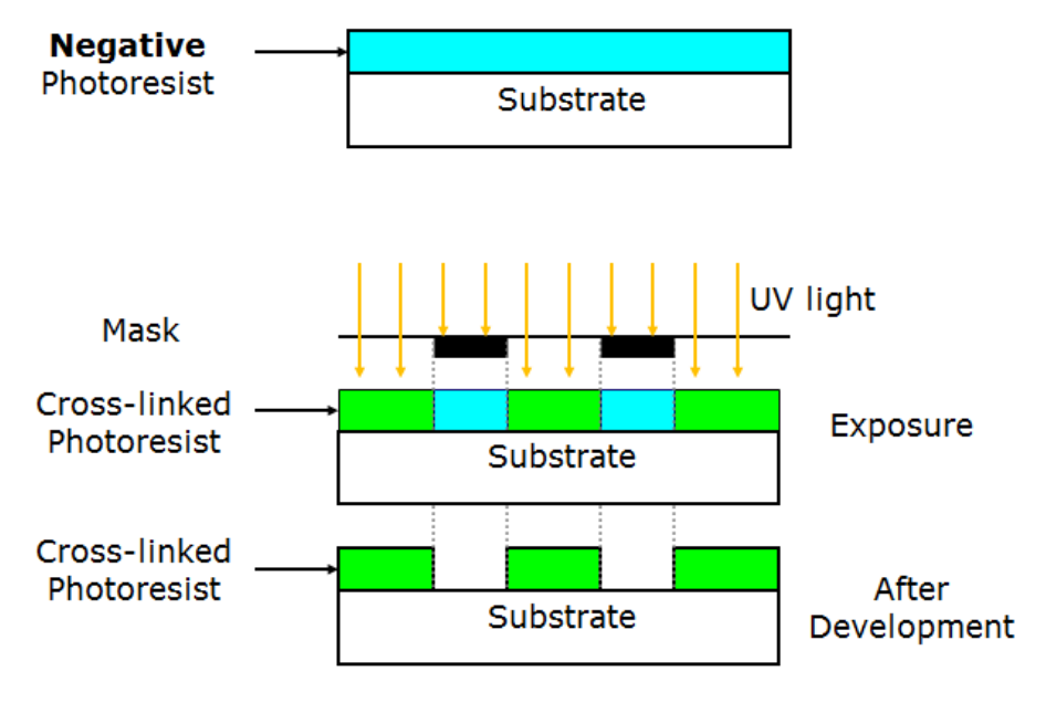 Solved Negative Photoresist Substrate UV light Mask | Chegg.com
