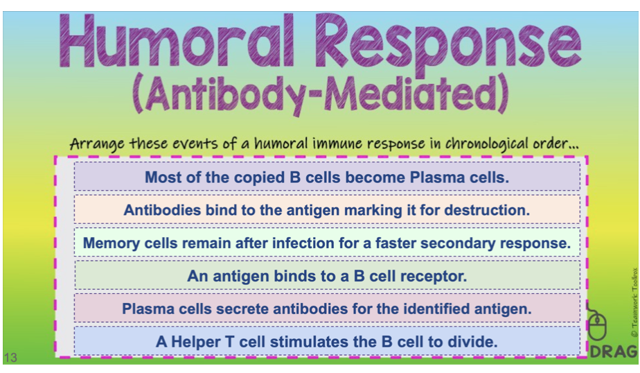 Solved Arrange these events of a humoral immune response in | Chegg.com