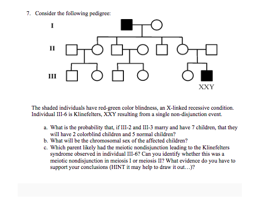 Solved 7. Consider the following pedigree: : N 모모 III XXY | Chegg.com