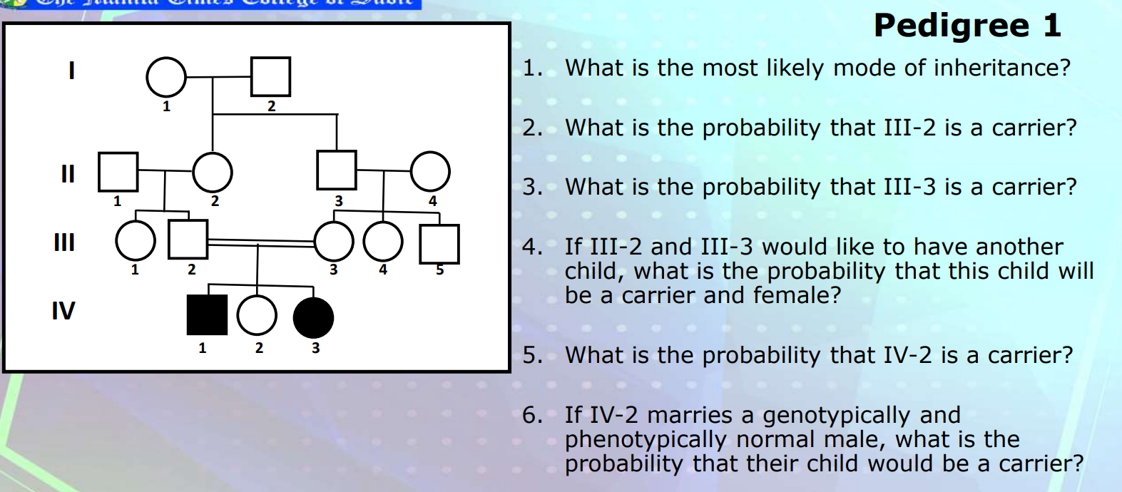 Solved ||| IV 1 1 1 2 2 1 2 2 O 3 4 -904 3 3 Pedigree 1 1. | Chegg.com