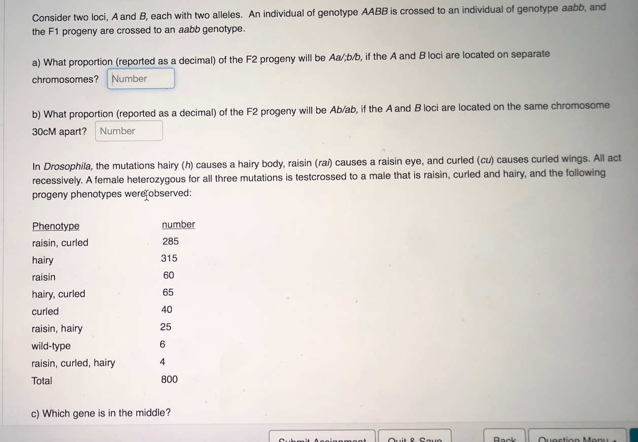 Consider Two Loci, A And B, Each With Two Alleles. An | Chegg.com