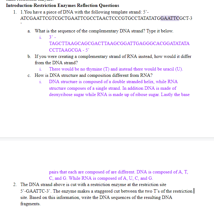 Solved IntroductionRestriction Enzymes Reflection Questions