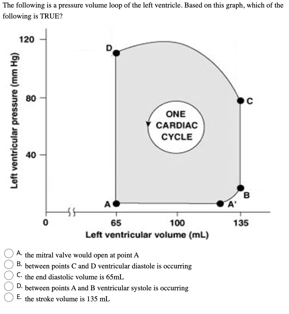 Solved The following graphs show membrane potential and | Chegg.com