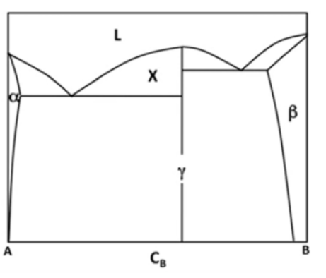 Solved Material Science: According To The Phase Diagram | Chegg.com