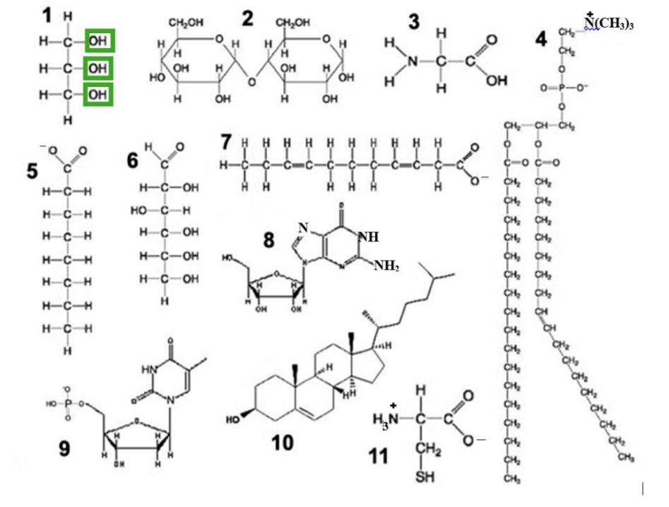 Solved 3.Demonstrate your knowledge of molecules and | Chegg.com