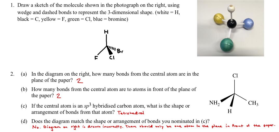 Solved 1. Draw a sketch of the molecule shown in the | Chegg.com