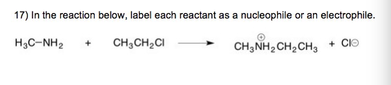 Solved 17) In the reaction below, label each reactant as a | Chegg.com