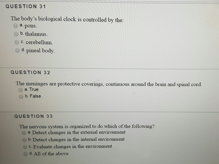Solved QUESTION 31 The body's biological clock is controlled