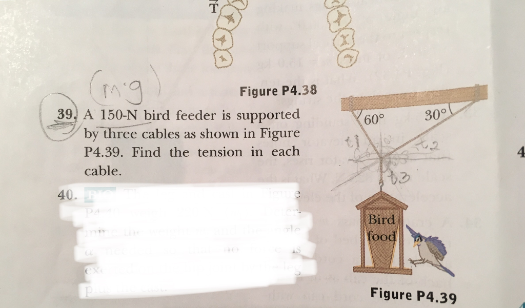 Solved TA Figure P4.38 39. A 150N bird feeder is supported