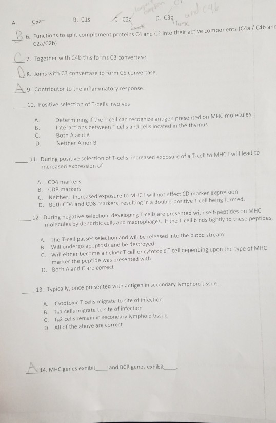 Solved A B. C15 D. C3b C5a t, c2a 1 6. Functions to split | Chegg.com