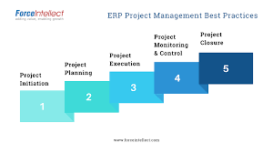 Solved ERP Project Management Best Practices Figure: | Chegg.com