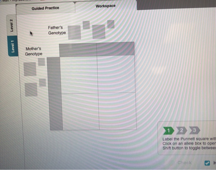 Solved Use the interactive Squares. Level 5 to