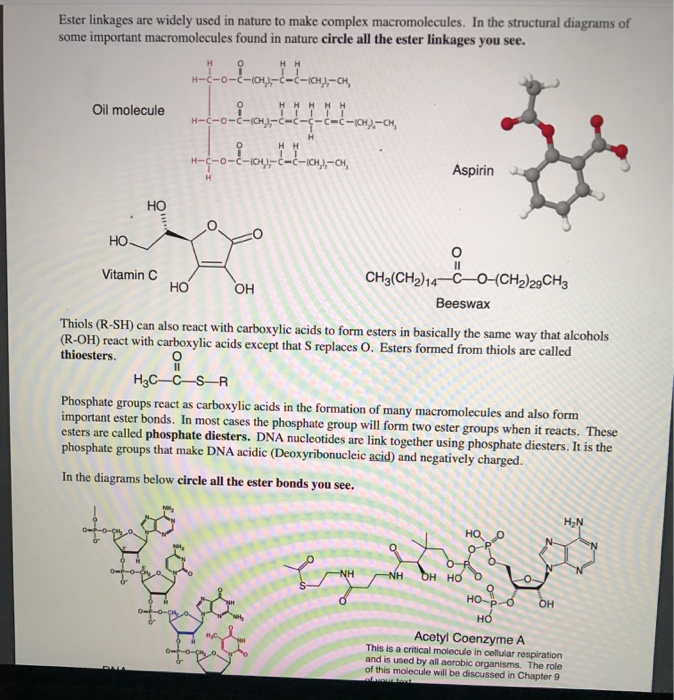 Solved Ester linkages are widely used in nature to make