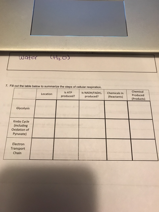 Solved 7. Fill out the table below to summarize the steps of | Chegg.com