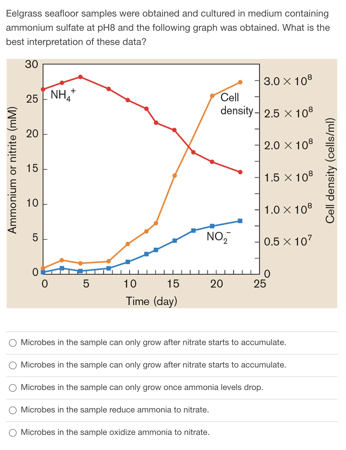 Eelgrass seafloor samples were obtained and cultured