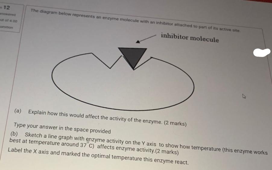 Solved 12 The diagram below represents an enzyme molecule | Chegg.com