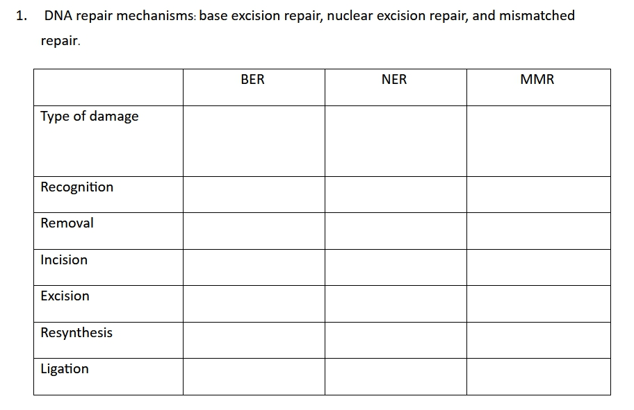 Solved 1. DNA repair mechanisms: base excision repair, | Chegg.com