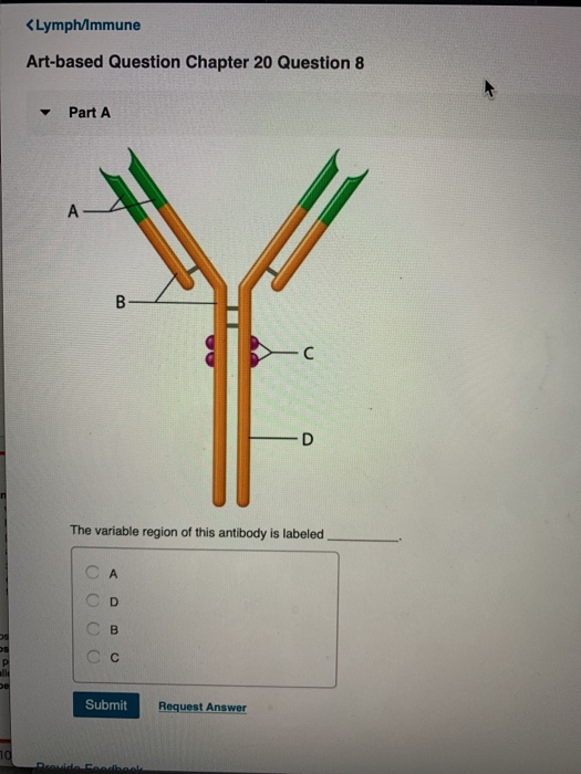 Solved Lymph/Immune Art-based Question Chapter 20 Question 8 | Chegg.com