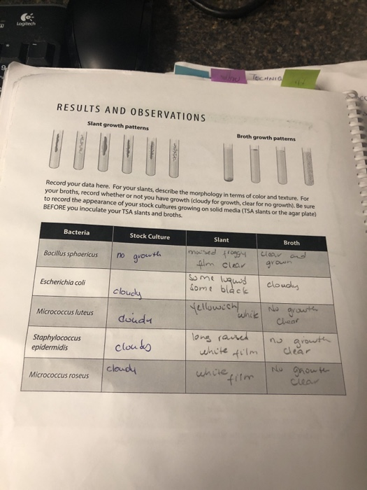Solved o Logitech RESULTS AND OBSERVATIONS Slant growth