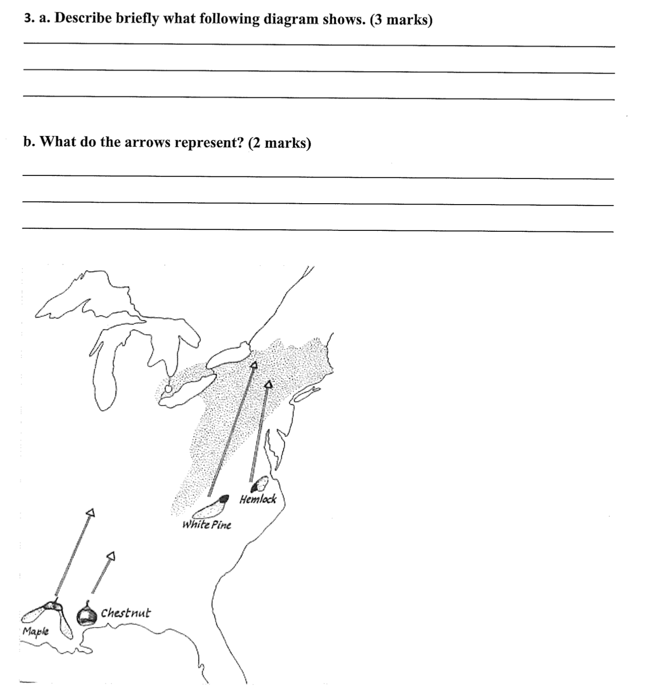 solved-3-a-describe-briefly-what-following-diagram-shows-chegg