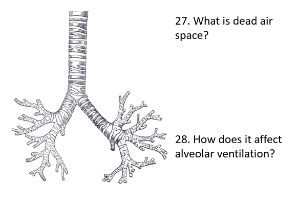 Dead-air space Meaning 