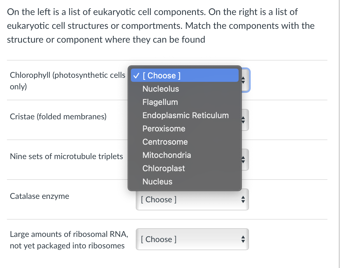 Solved On the left is a list of eukaryotic cell components. | Chegg.com