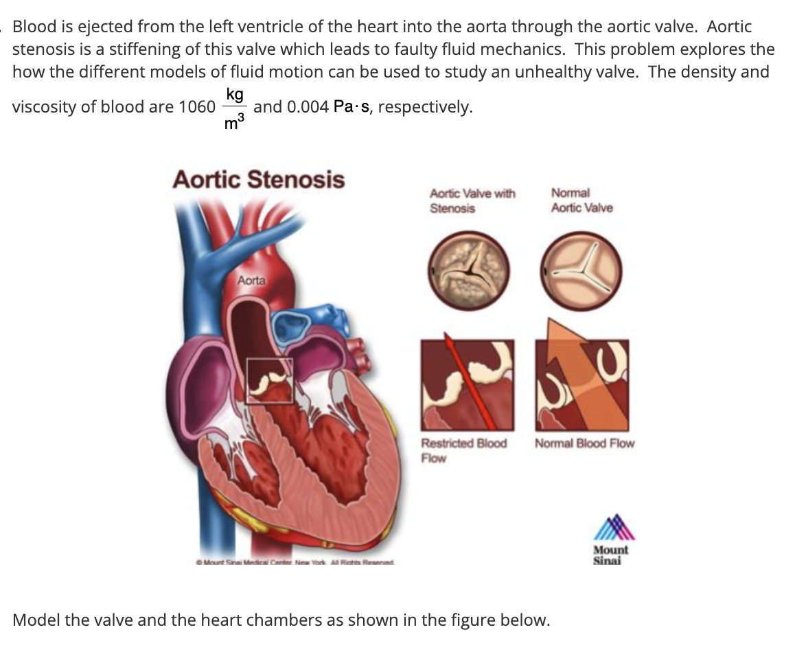 Solved Blood is ejected from the left ventricle of the heart | Chegg.com
