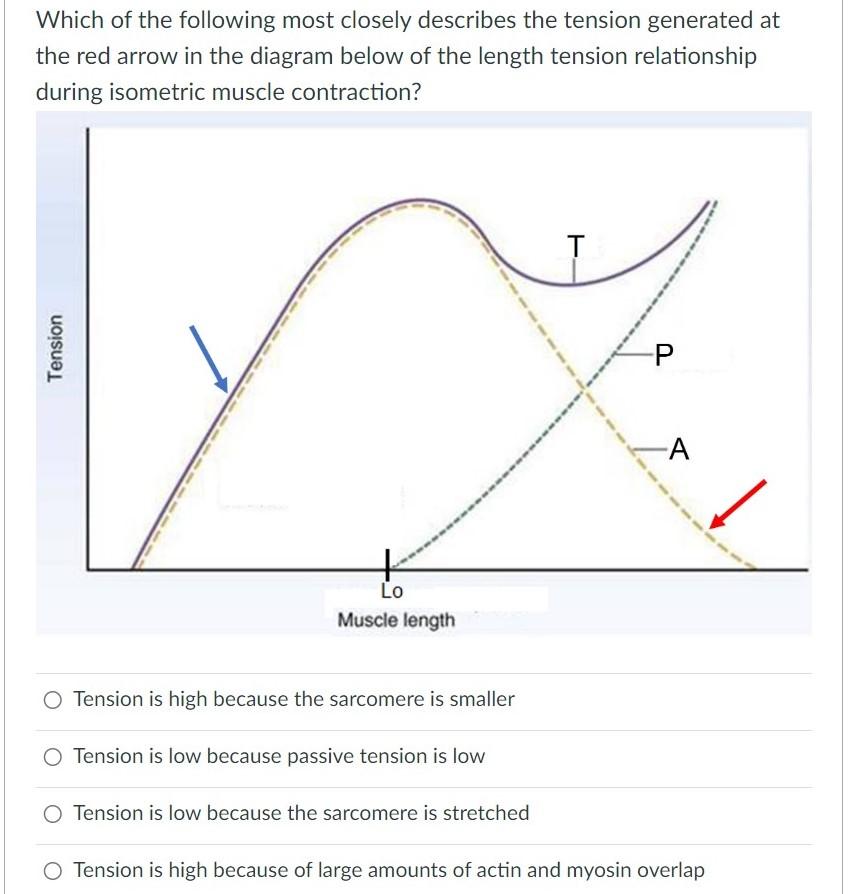 Solved Which of the following most closely describes the | Chegg.com