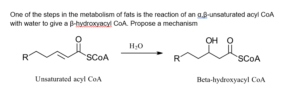 Solved One of the steps in the metabolism of fats is the | Chegg.com