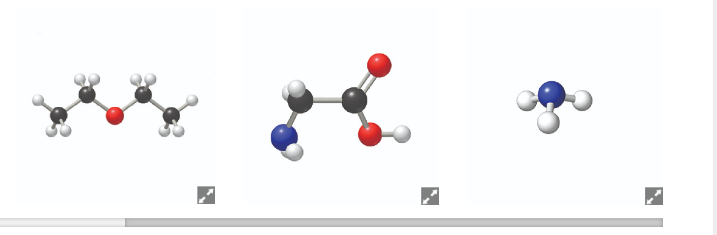 Solved Sort The Following Images Into The Appropriate Chegg Com