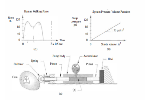 Solved Human Walking Force System Presaure-Volume Function | Chegg.com