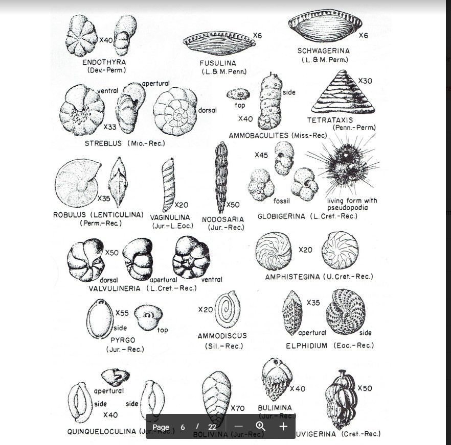 Solved 5. On Figure 11, show the geologic ranges by using | Chegg.com