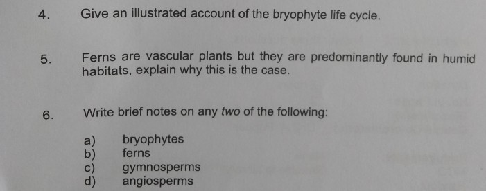 Solved 4. Give an illustrated account of the bryophyte life | Chegg.com