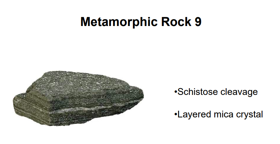 Metamorphic Rock 9
Schistose cleavage
•Layered mica crystal