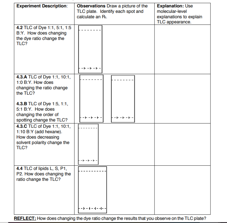 Solved Experiment Description: Observations Draw a picture | Chegg.com