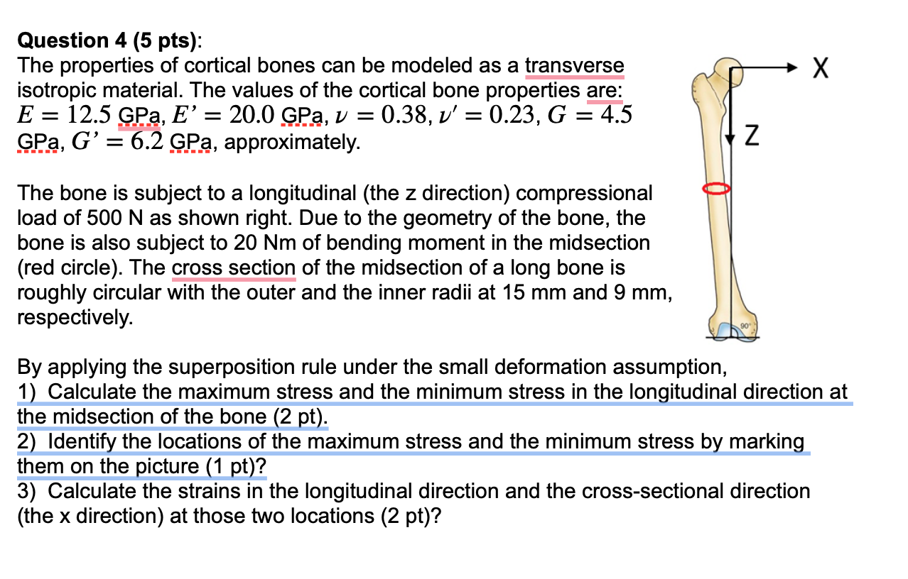 Question 4 (5 pts): The properties of cortical bones | Chegg.com
