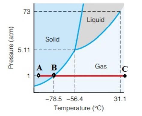 Solved The figure below is the phase diagram of CO2 Which of | Chegg.com