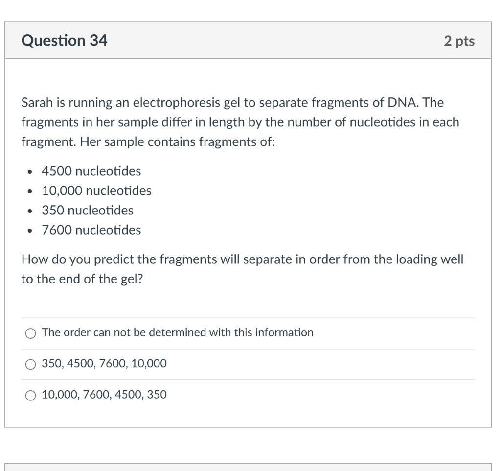 Solved Question 42 1 pts This segment of DNA is cut at | Chegg.com
