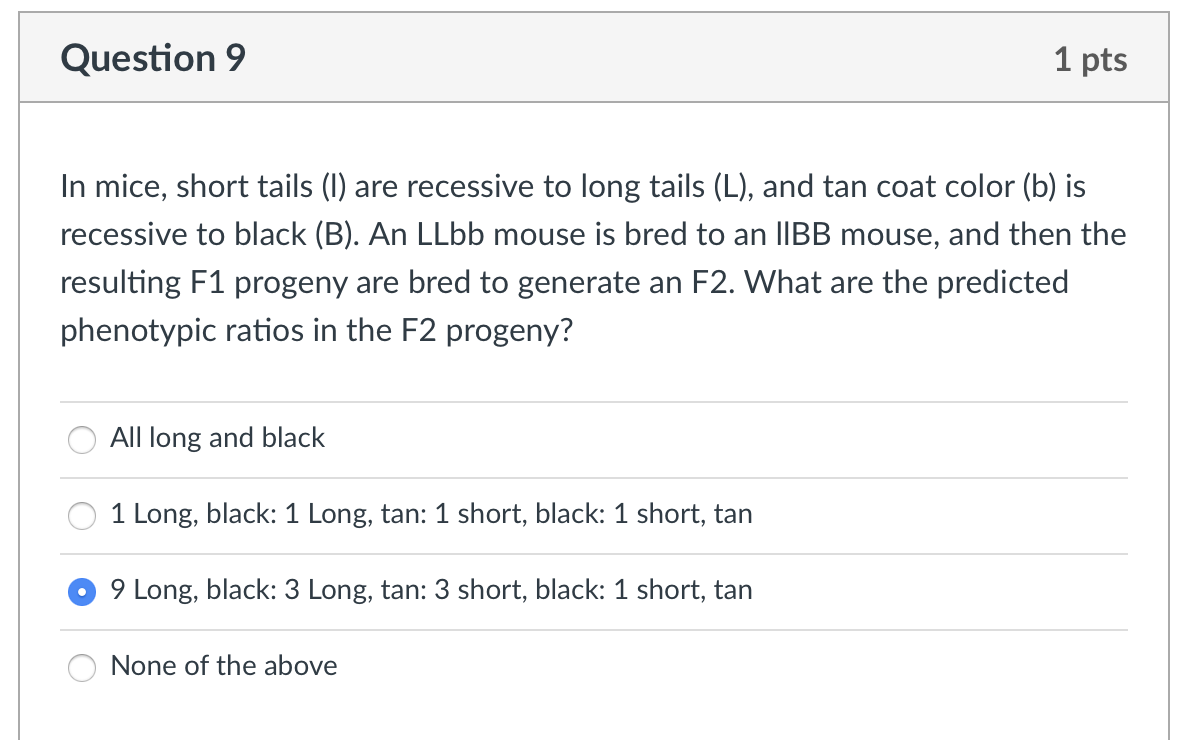 Solved In mice, short tails (I) are recessive to long tails | Chegg.com
