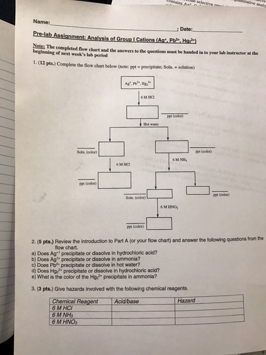 Solved Complete The Flow Chart Below Review The Chegg Com