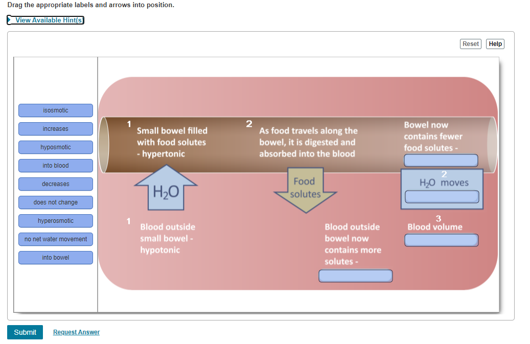 Solved Nurses Need Physiology: Osmosis and the Bowel 14 of