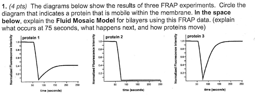 Solved 1. (4 pts) The diagrams below show the results of | Chegg.com