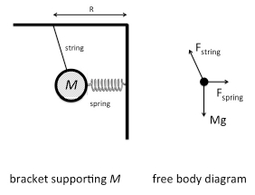 Solved string string Tension mg MHWA spring spring Mg | Chegg.com