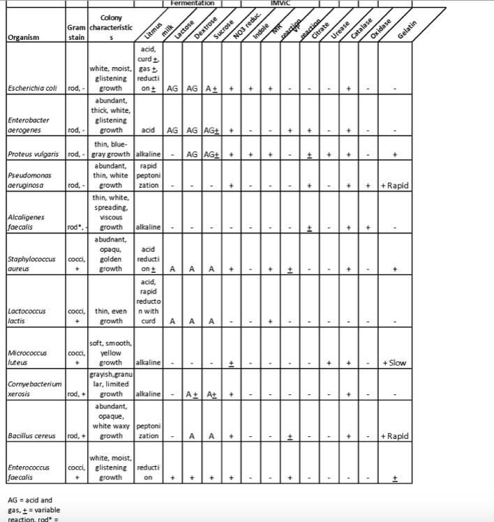 Solved Using the chart, make a dichotomous key. Use the | Chegg.com