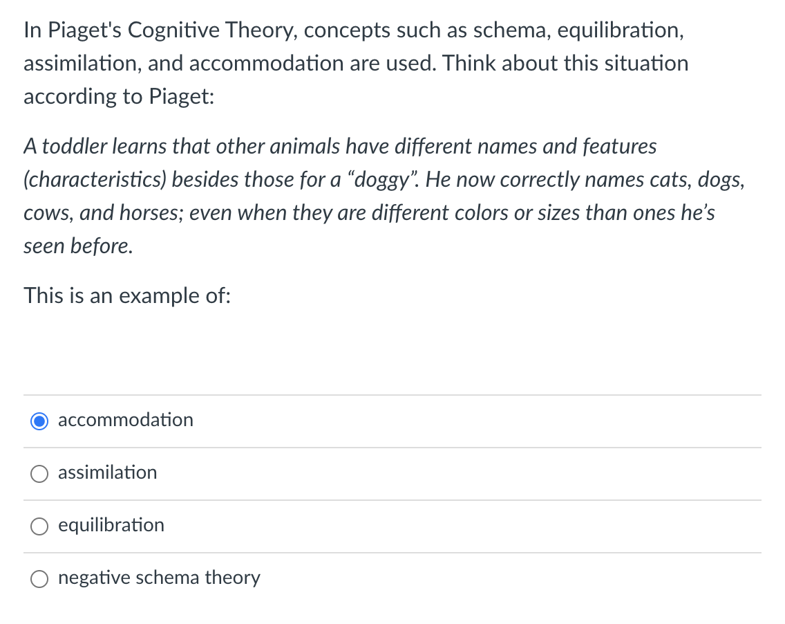 Schema theory online piaget