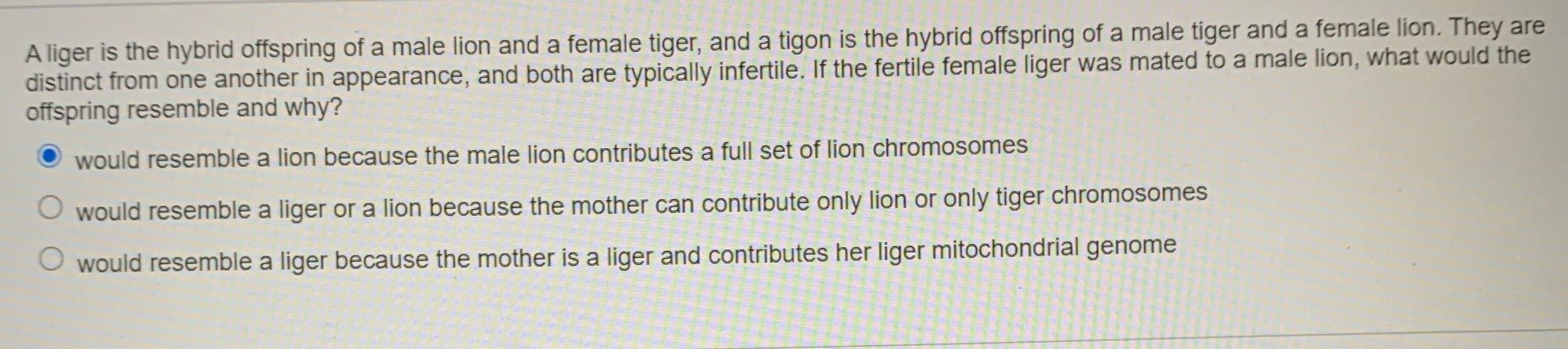 Solved A liger is the hybrid offspring of a male lion and a | Chegg.com