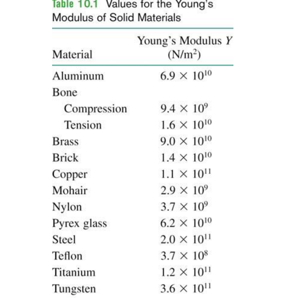 Solved Question 8 0/1 pts The femur (thigh bone), when under | Chegg.com