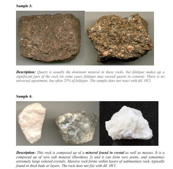 Solved Sedimentary Rocks Sedimentary rocks are rocks | Chegg.com